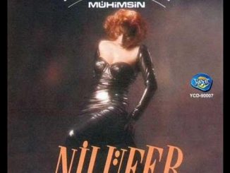 Nilüfer – İnkar Etme Mp3 Download