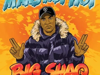 Big Shaq – Man’s Not Hot Mp3 Download