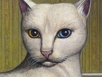 Mitski – Charon’s Obol