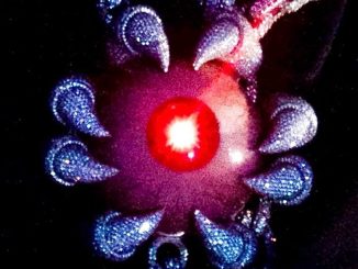 Trippie Redd – Dead or Alive