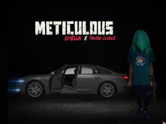 Chella – Meticulous ft. Young Clique